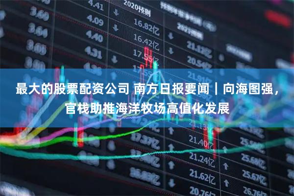 最大的股票配资公司 南方日报要闻｜向海图强，官栈助推海洋牧场高值化发展